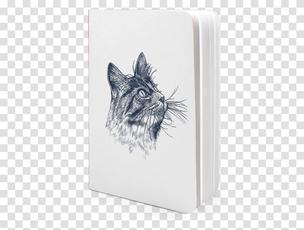 Dailyobjects Cat Eye A6 Notebook Plain Buy Online In Sketch, Drawing, Pet, Mammal Transparent Png