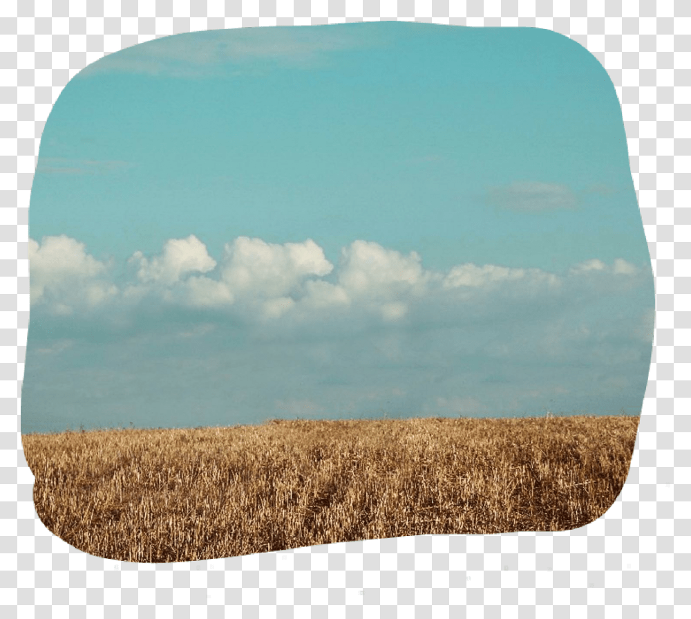 Dailyremix Field Blue Sky Day Drygrass Land Field, Nature, Outdoors, Rug, Countryside Transparent Png