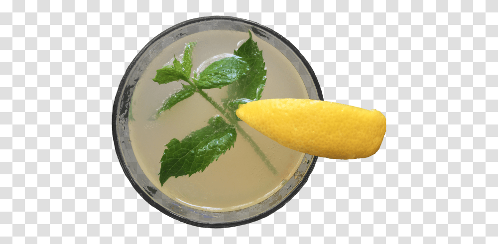 Daiquiri, Cocktail, Alcohol, Beverage, Drink Transparent Png