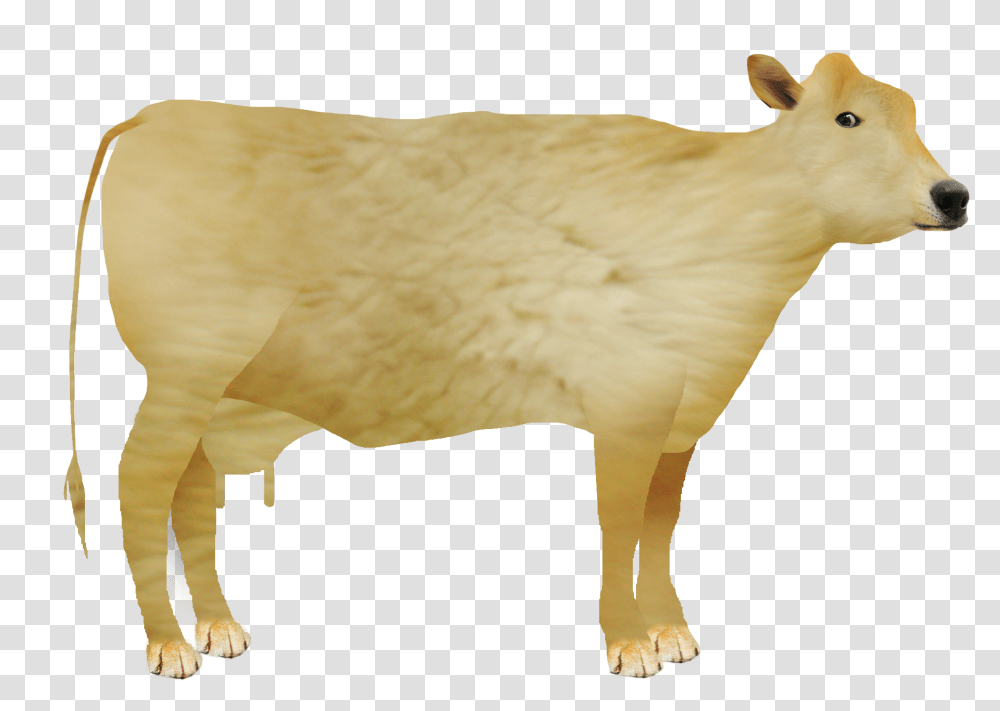 Dairy Cattle Animal Figure Cow Goat Family Dairy Cow, Mammal, Pig, Hog, Sheep Transparent Png