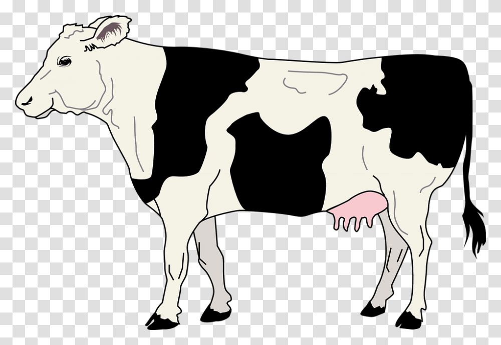 Dairy Clipart Cows Milk, Silhouette, Mammal, Animal, Cattle Transparent Png