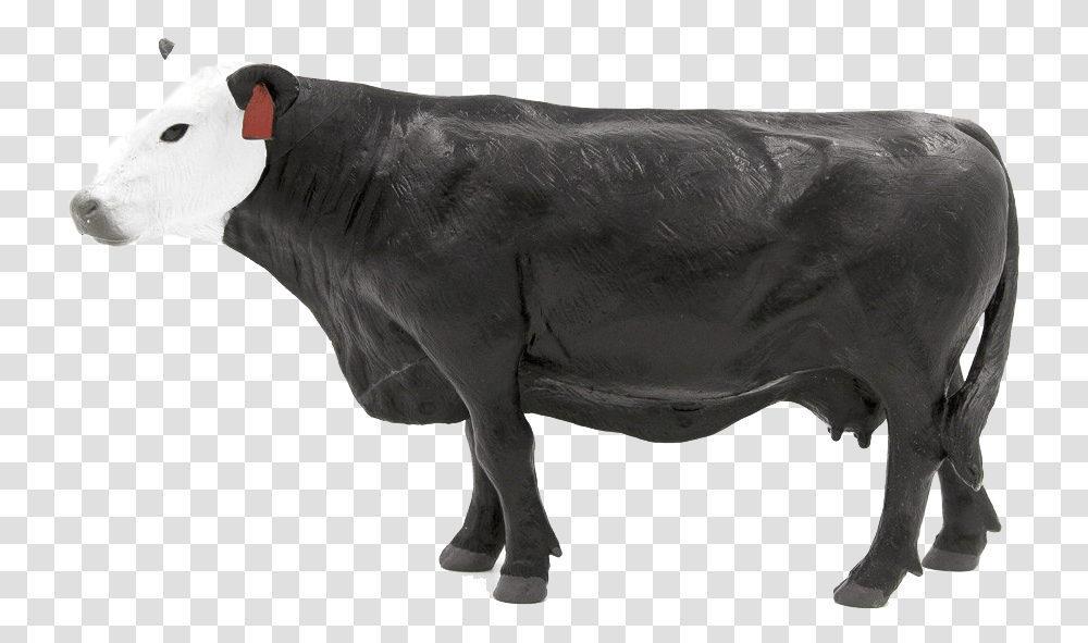 Dairy Cow 2011, Bull, Mammal, Animal, Cattle Transparent Png