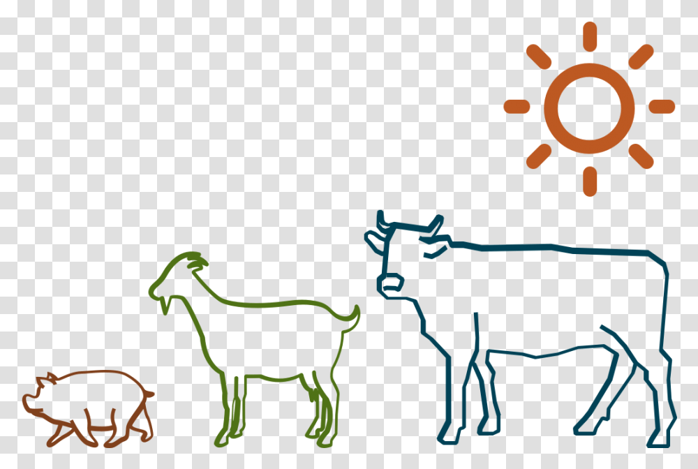 Dairy Cow, Antelope, Wildlife, Mammal, Animal Transparent Png