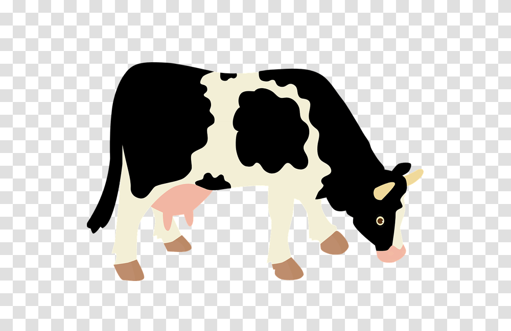 Dairy Cow Background Farm Image, Cattle, Mammal, Animal Transparent Png