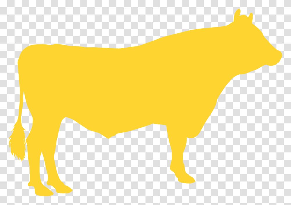 Dairy Cow, Bull, Mammal, Animal, Cattle Transparent Png