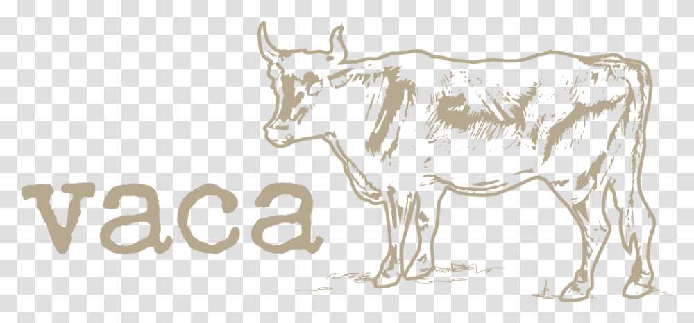 Dairy Cow, Bull, Mammal, Animal, Cattle Transparent Png