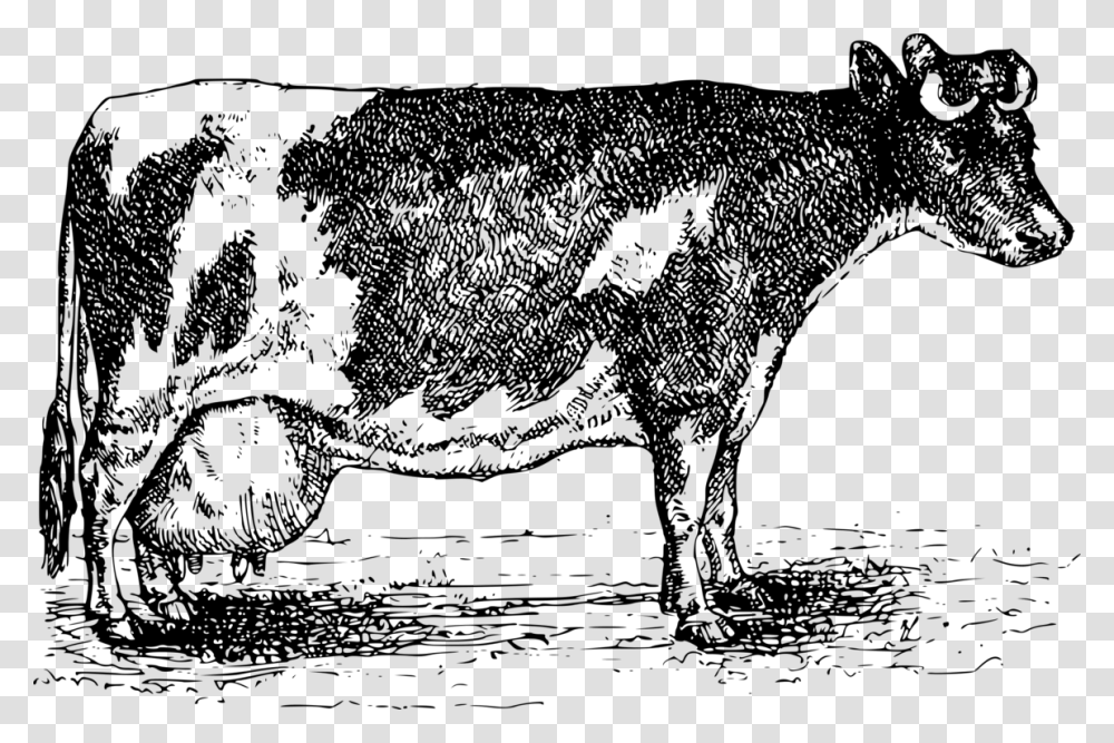 Dairy Cow Cattle, Gray, World Of Warcraft Transparent Png