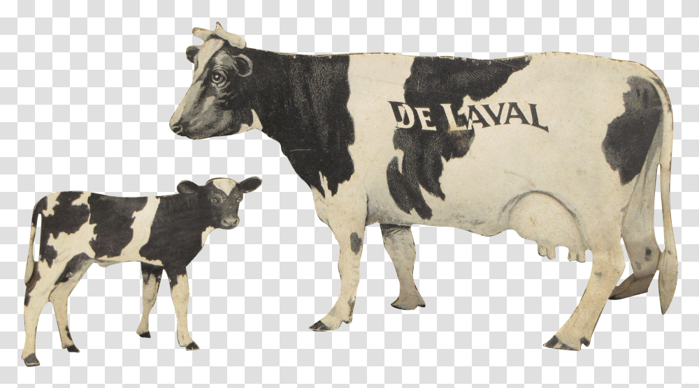 Dairy Cow, Cattle, Mammal, Animal, Bull Transparent Png