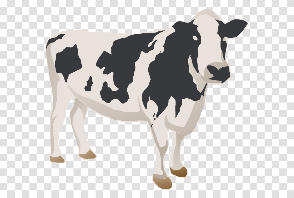 Dairy Cow, Cattle, Mammal, Animal Transparent Png