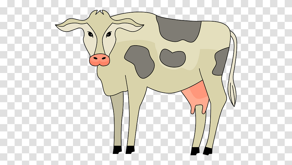 Dairy Cow, Cattle, Mammal, Animal Transparent Png
