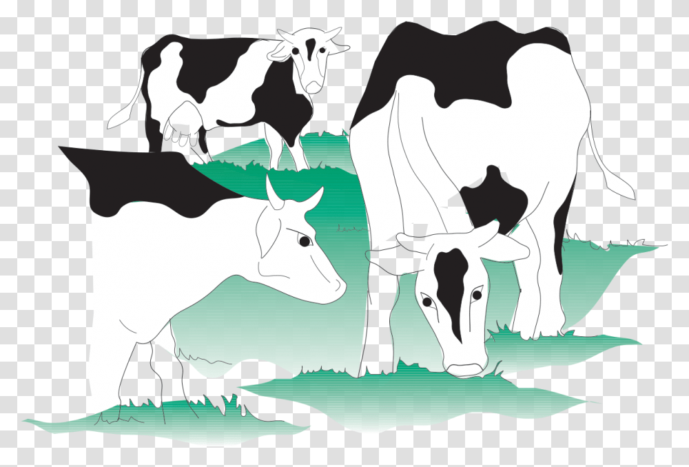 Dairy Cow, Cattle, Mammal, Animal Transparent Png