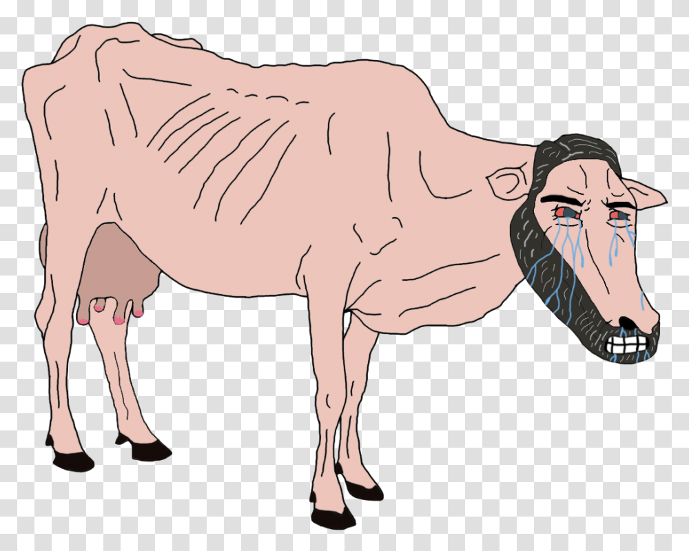 Dairy Cow, Mammal, Animal, Bull, Cattle Transparent Png