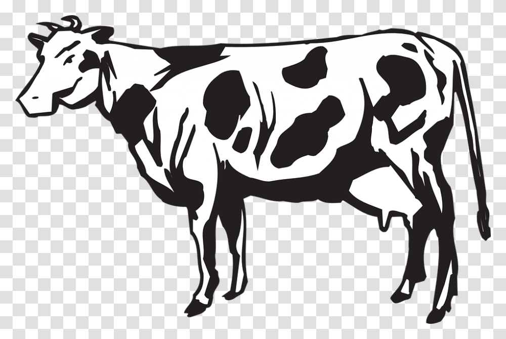 Dairy Cows Vector Graphics Clip Art Cows Herd, Cattle, Mammal, Animal, Bird Transparent Png
