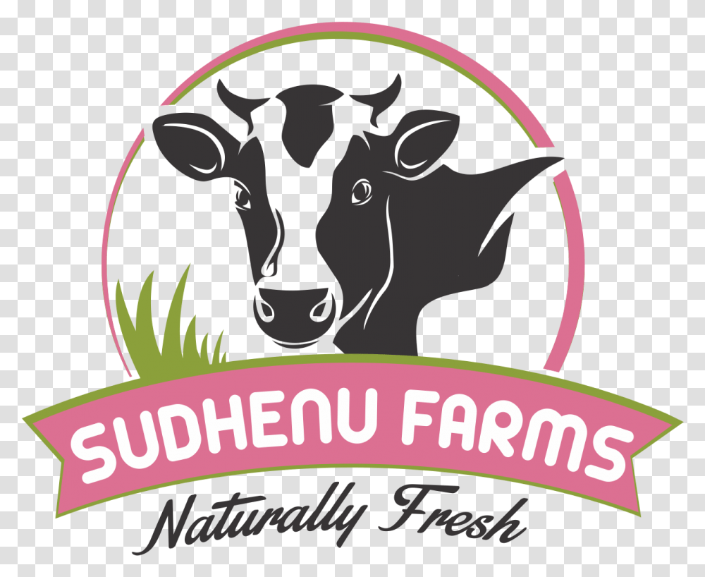Dairy Products Manufacturers In Pune Dairy Milk Cow Logo, Mammal, Animal, Cattle, Advertisement Transparent Png