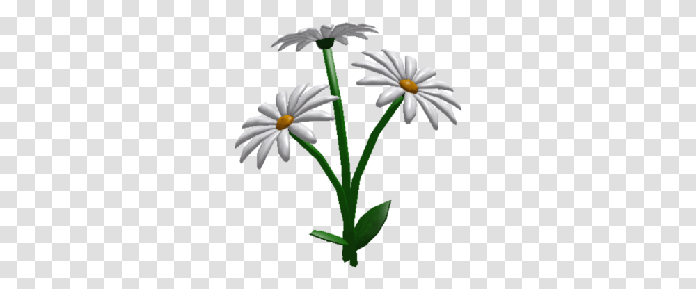 Daisies Bloxburg Flowers, Plant, Blossom, Daisy, Petal Transparent Png