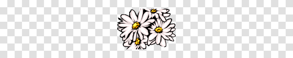Daisies Clip Art Cartoon Daisy Clipart Clip Art For Students, Plant, Flower, Blossom, Anther Transparent Png