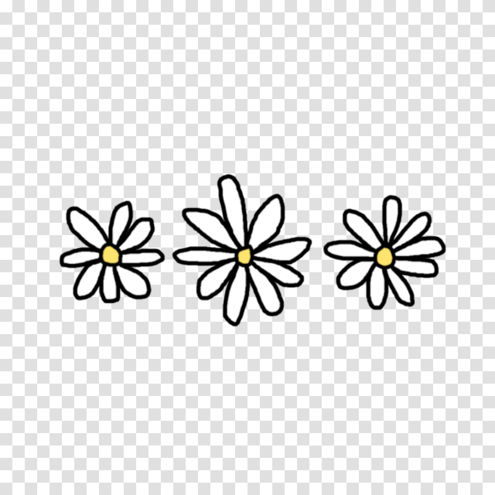 Daisies Clipart Flower Tumblr Flower Tumblr, Floral Design, Pattern, Graphics, Insect Transparent Png
