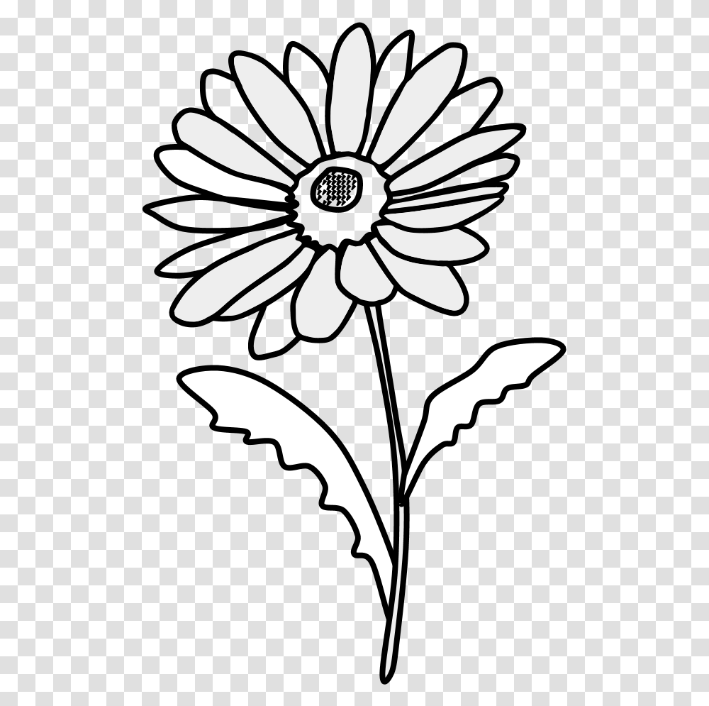 Daisies Daisy Clipart Black And White, Plant, Graphics, Flower, Blossom Transparent Png