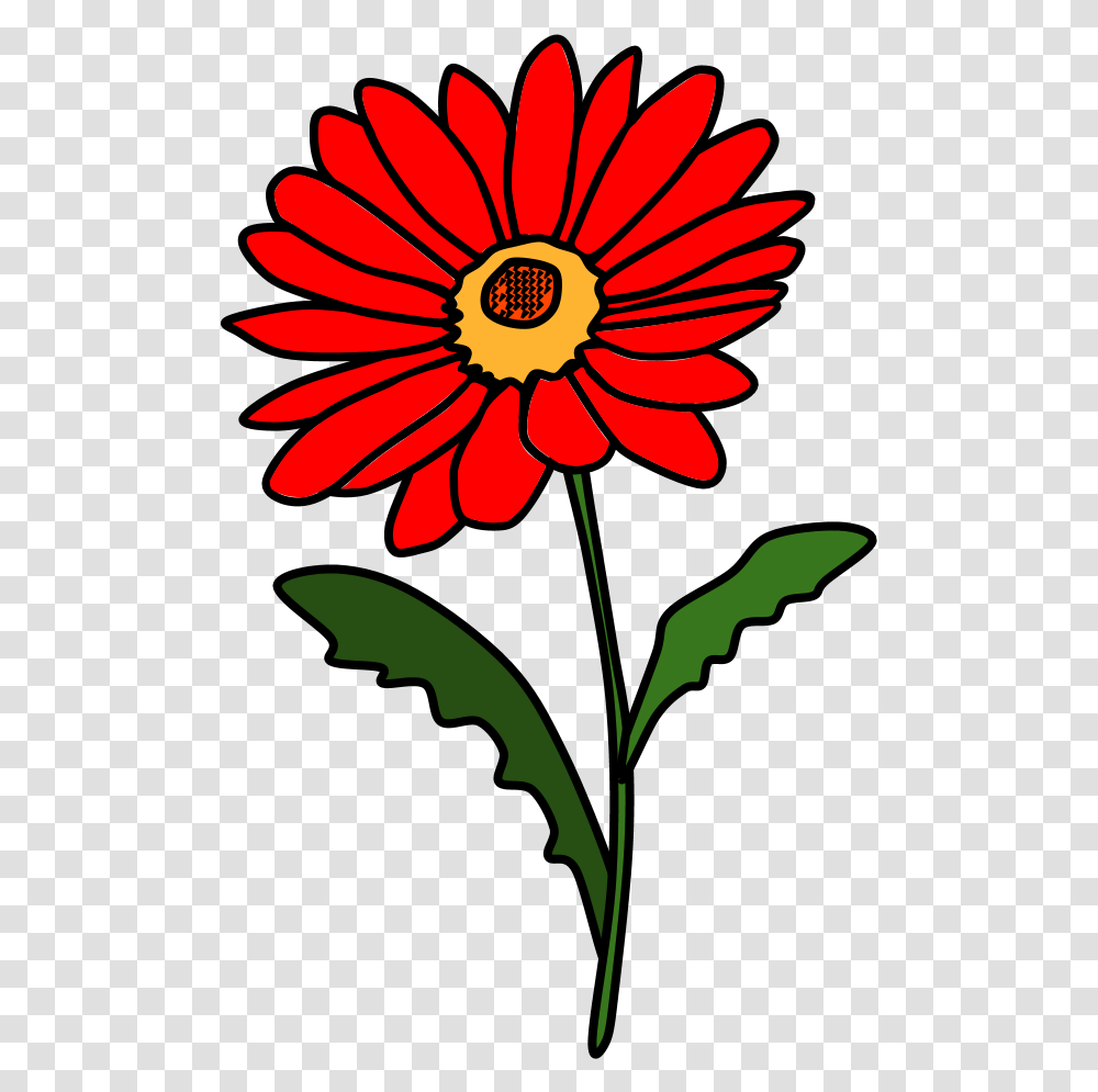 Daisies Red Daisy Flower Clipart, Plant, Blossom, Petal, Pollen Transparent Png
