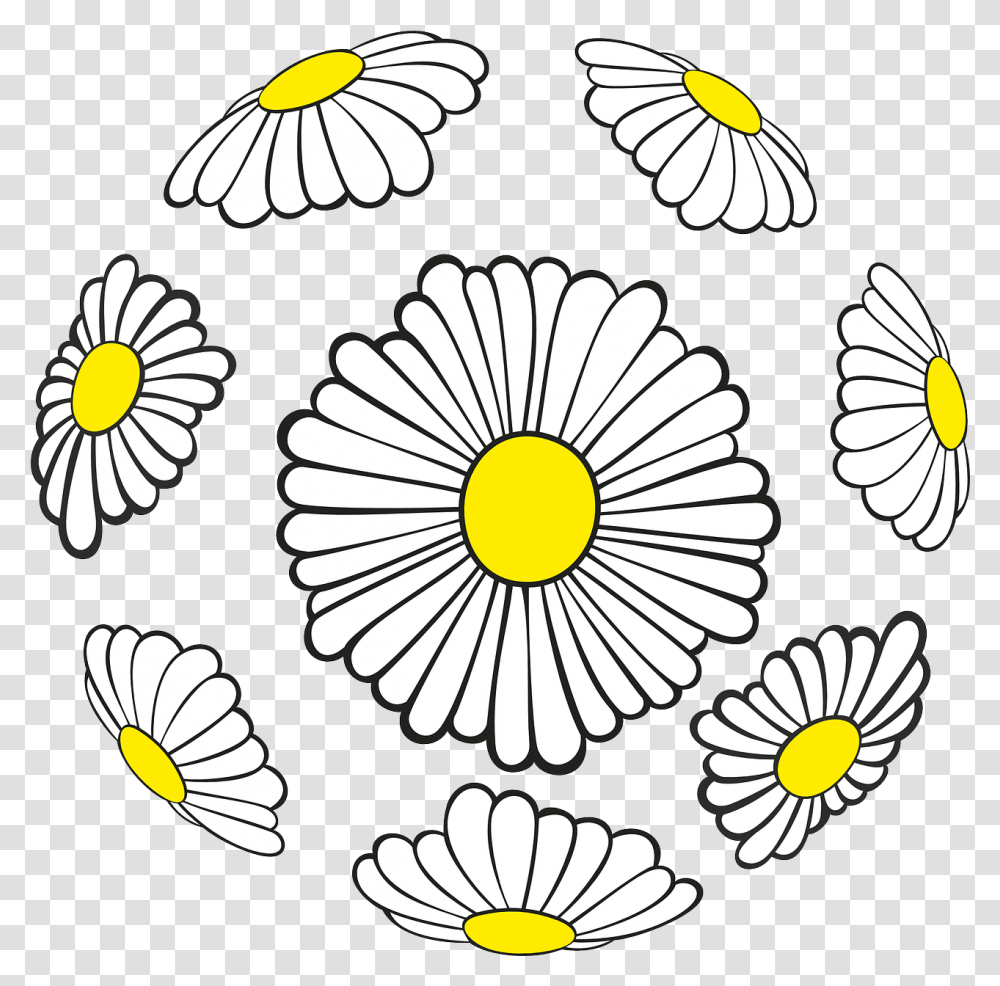 Daisies Sphere Spring Flowers Picpng Vector, Plant, Daisy, Blossom, Pattern Transparent Png