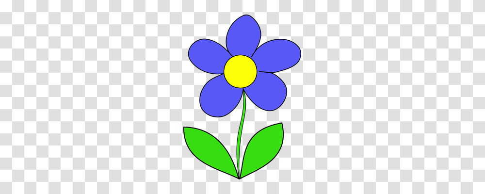 Daisy Nature, Floral Design Transparent Png