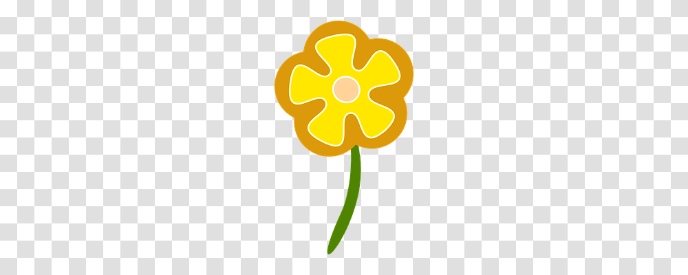 Daisy Nature, Plant, Pepper, Vegetable Transparent Png