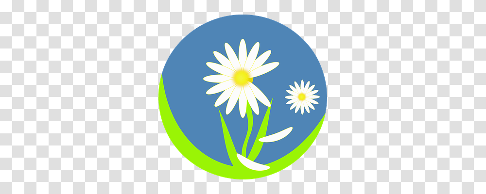 Daisy Nature, Plant, Flower, Daisies Transparent Png