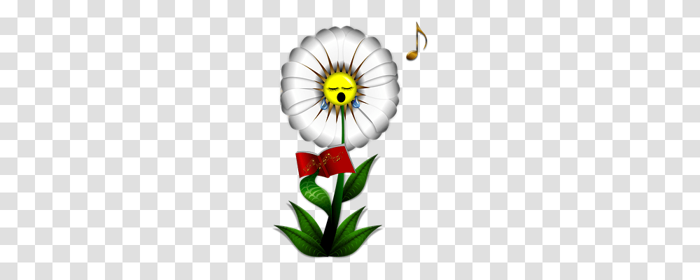 Daisy Nature, Plant, Flower, Blossom Transparent Png