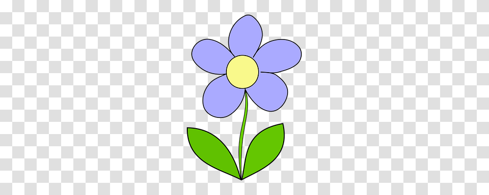 Daisy Nature, Floral Design Transparent Png