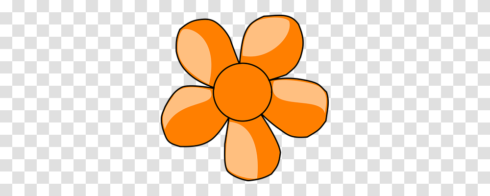 Daisy Nature, Lamp, Cushion, Diwali Transparent Png