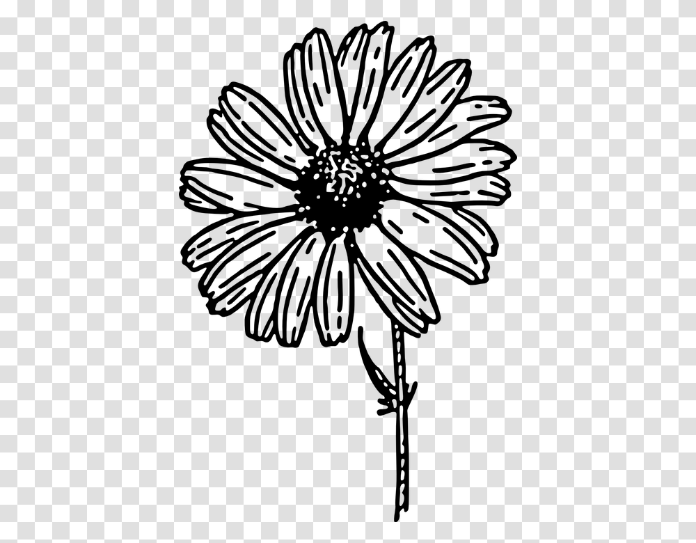 Daisy Black And White Clipart, Gray, World Of Warcraft Transparent Png