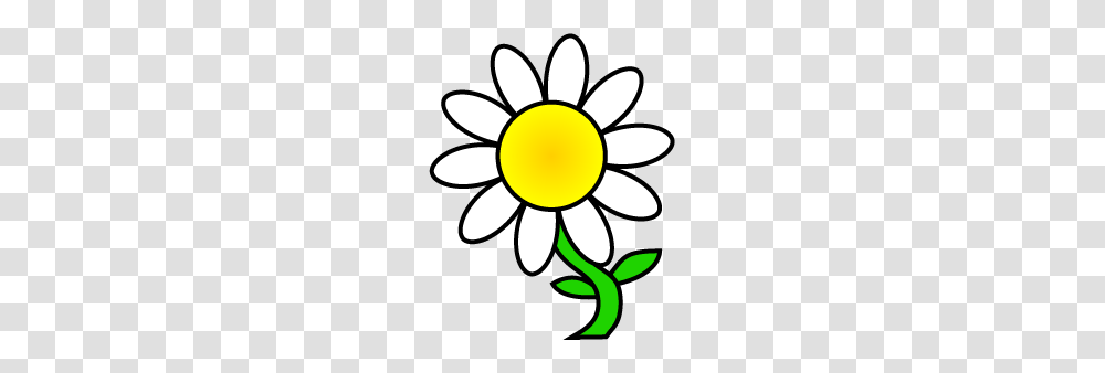 Daisy Border Clip Art, Flower, Plant, Blossom, Lamp Transparent Png