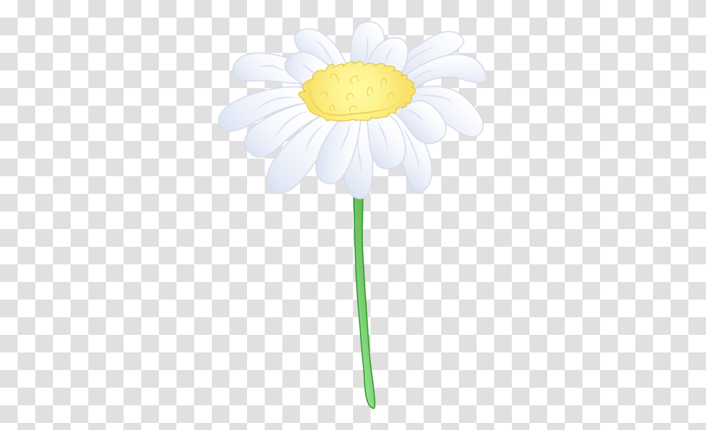 Daisy Border Clip Art, Plant, Flower, Blossom, Daisies Transparent Png