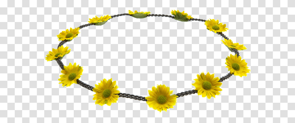 Daisy Chain Flowers Daisy Chain, Plant, Blossom, Petal, Daffodil Transparent Png