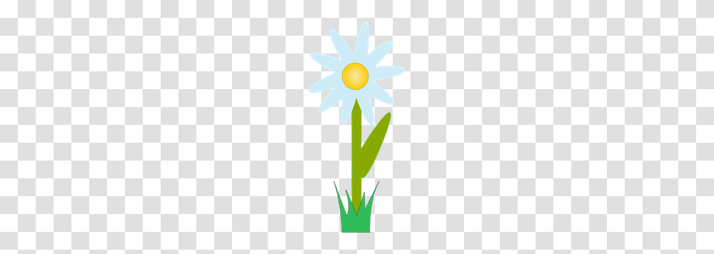 Daisy Clip Art Da Sy Clip Art, Plant, Flower, Blossom, Daffodil Transparent Png