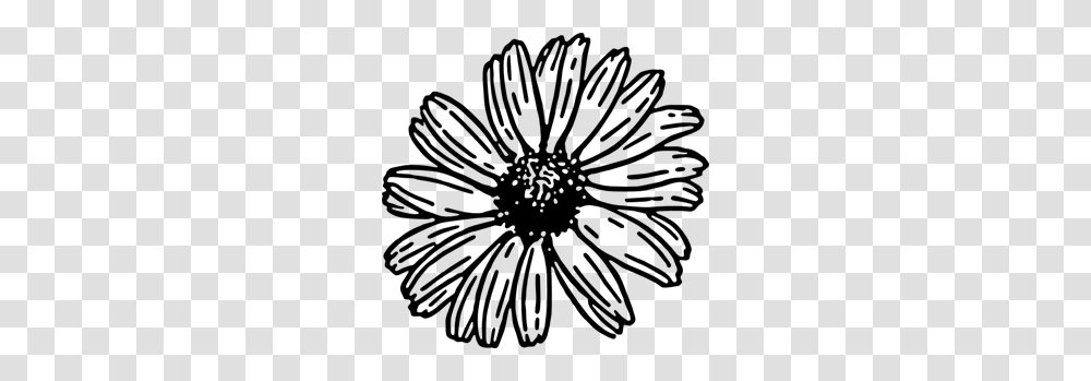 Daisy Clip Art For Web, Gray, World Of Warcraft Transparent Png