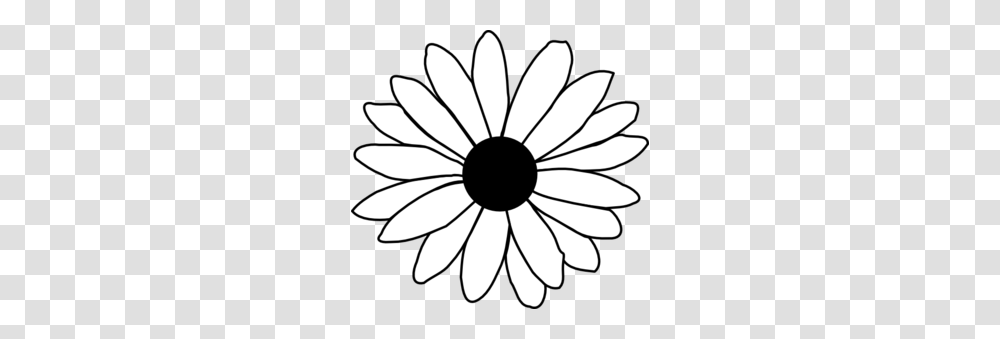 Daisy Clip Art Free, Flower, Plant, Daisies, Blossom Transparent Png