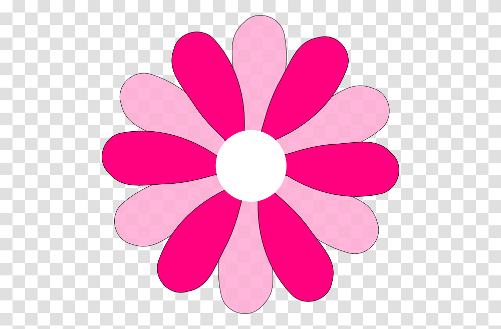 Daisy Clip Art, Petal, Flower, Plant, Blossom Transparent Png