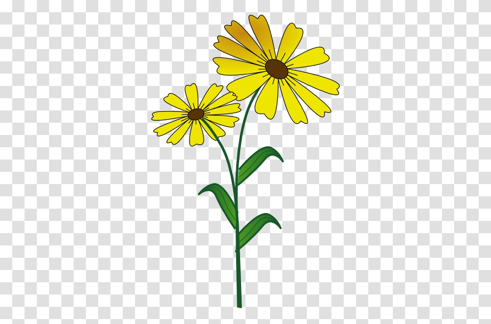 Daisy Clip Art, Plant, Flower, Blossom, Petal Transparent Png