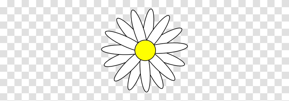 Daisy Clip Arts For Web, Flower, Plant, Daisies, Blossom Transparent Png