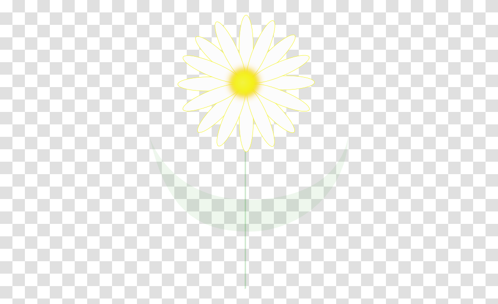 Daisy Clipart And Vector Illustrations, Plant, Flower, Pineapple, Food Transparent Png