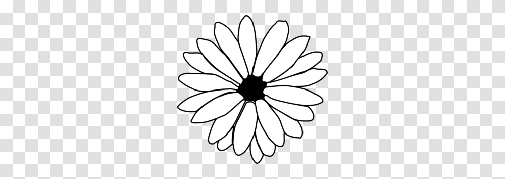 Daisy Clipart Black And White, Flower, Plant, Daisies, Blossom Transparent Png