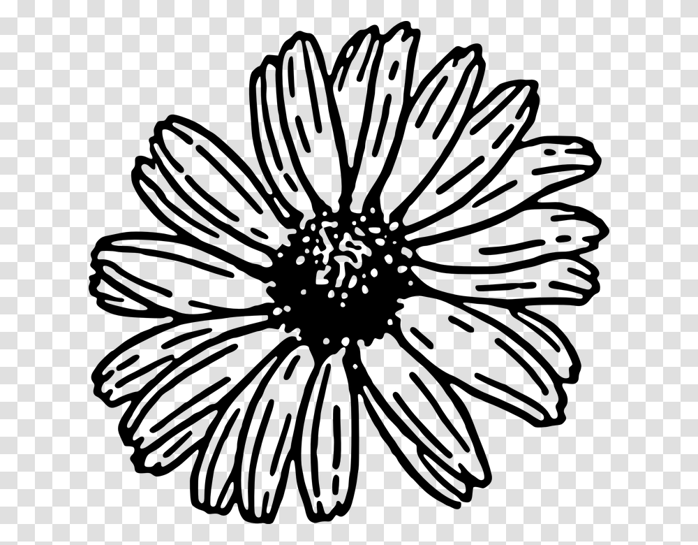 Daisy Clipart Black And White, Gray, World Of Warcraft Transparent Png