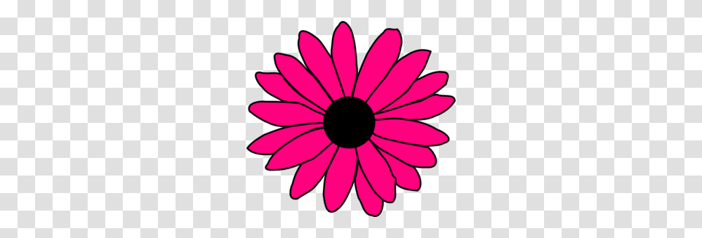 Daisy Clipart Cute, Plant, Flower, Daisies, Blossom Transparent Png