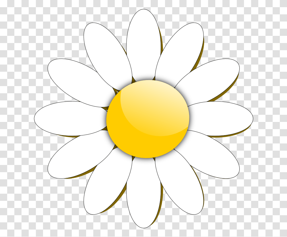 Daisy Clipart Daisy Flower Clipart, Plant, Daisies, Blossom, Lamp Transparent Png