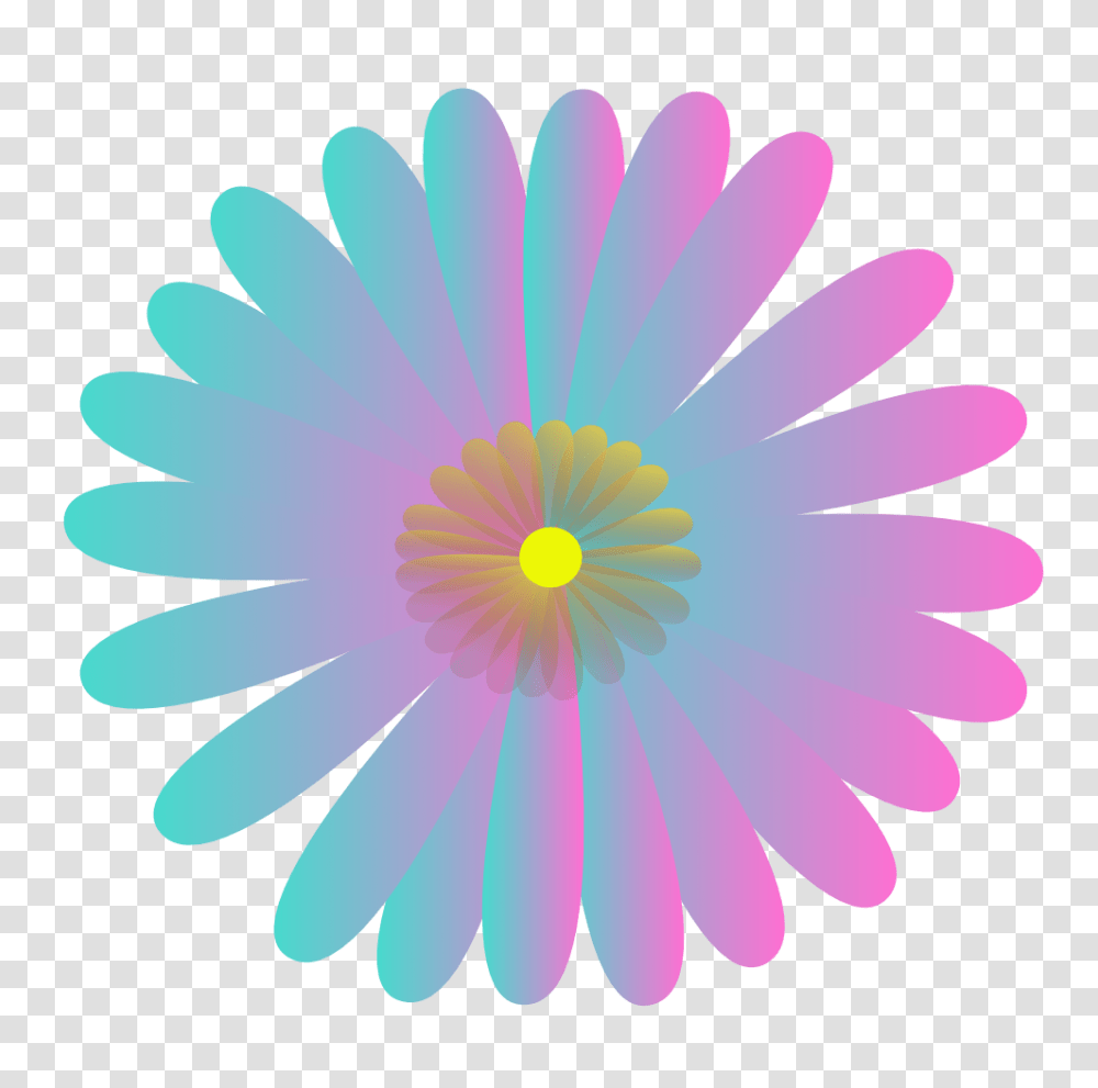 Daisy Clipart Flora, Plant, Flower, Daisies, Blossom Transparent Png