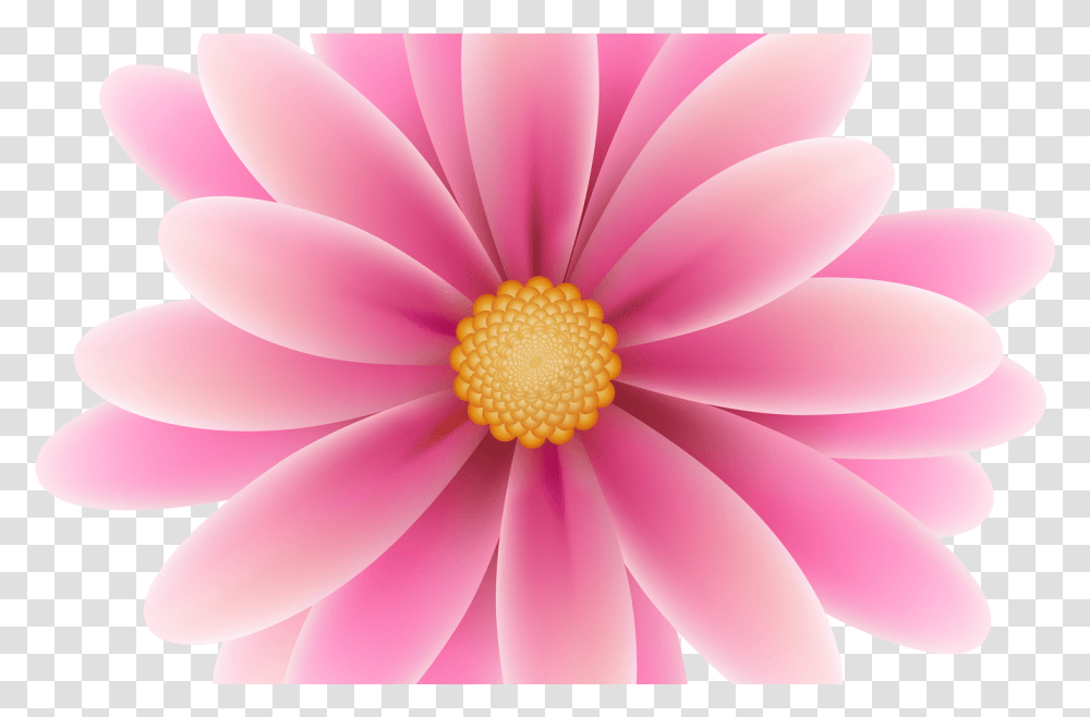 Daisy Clipart Flowerclip Portable Network Graphics, Plant, Blossom, Daisies, Dahlia Transparent Png