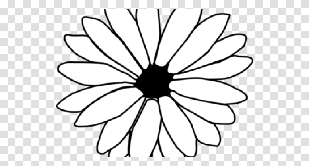 Daisy Clipart Gerber Daisy, Plant, Flower, Daisies, Blossom Transparent Png