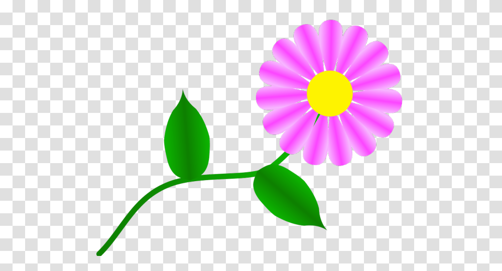 Daisy Clipart Girlscout, Plant, Flower, Blossom, Petal Transparent Png