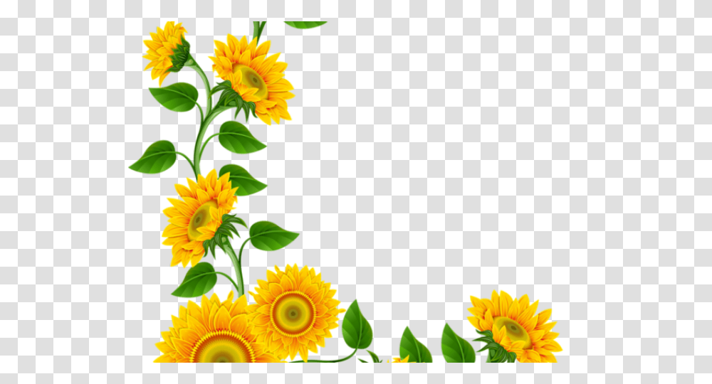 Daisy Clipart Halloween, Plant, Sunflower, Blossom, Pattern Transparent Png